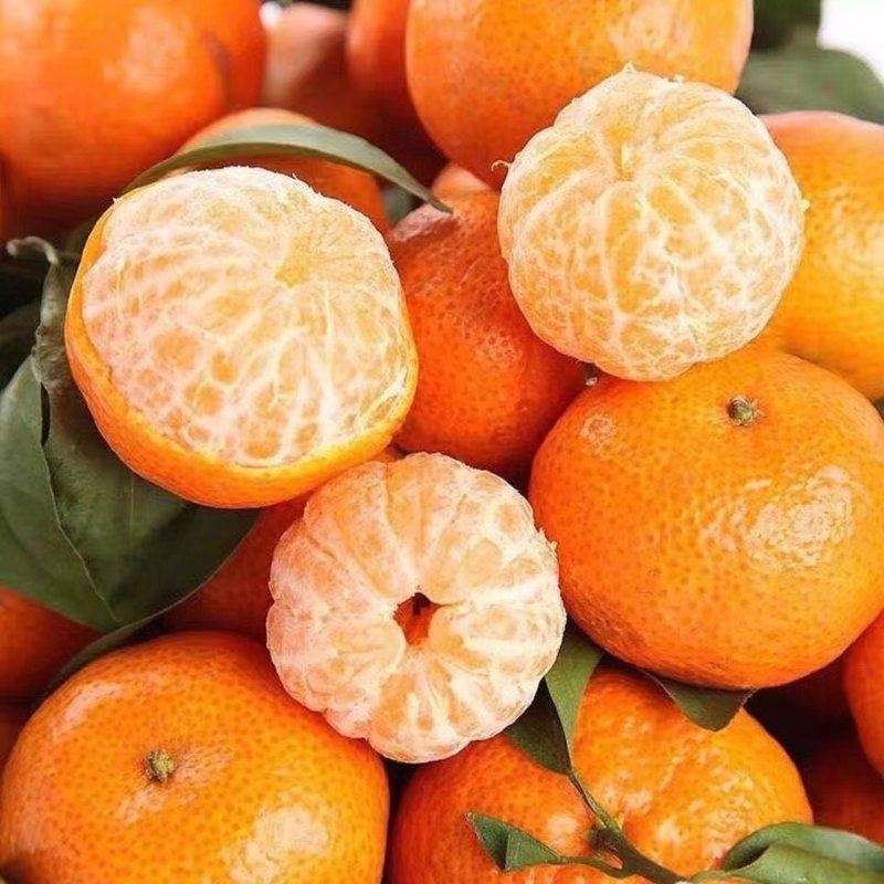 世界上最甜的橘子图片