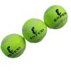 乐士ENPEX训练用网球（3只装4包）12只装