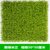 俊采云JCP75仿真植物墙抗老化防褪色彩色米兰装饰假草坪户外草坪塑料绿植墙 （单位：平方）(默认 JCP75)第2张高清大图
