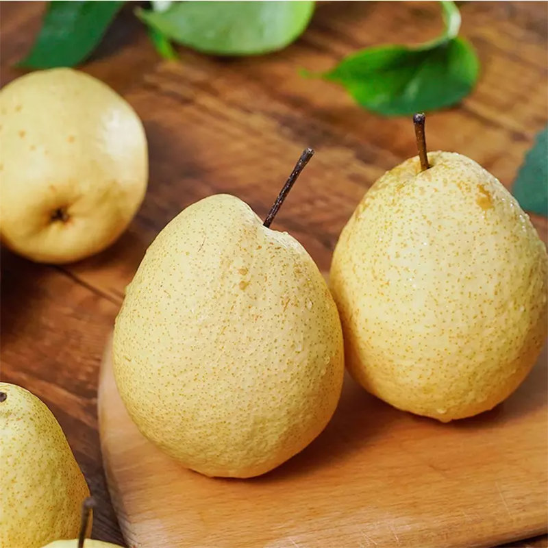 【中国酥梨之乡】山西隰县黄土高原酥梨脆甜多汁5斤净重包邮(自定义 5
