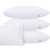帝堡龙DIBAOLONG轻奢床上用品 五星级酒店全棉枕头 健康舒适单双人枕芯(1 默认)第3张高清大图