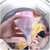 洗衣机漂浮过滤网袋滤毛器家用去污浴室除毛器洗衣球魔力球清洁球(乳白色)第2张高清大图