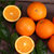 四川金堂脐橙 脐橙 5-9斤装 新鲜水果 脐橙 橙子 非秭归脐橙 生鲜(9斤)第4张高清大图