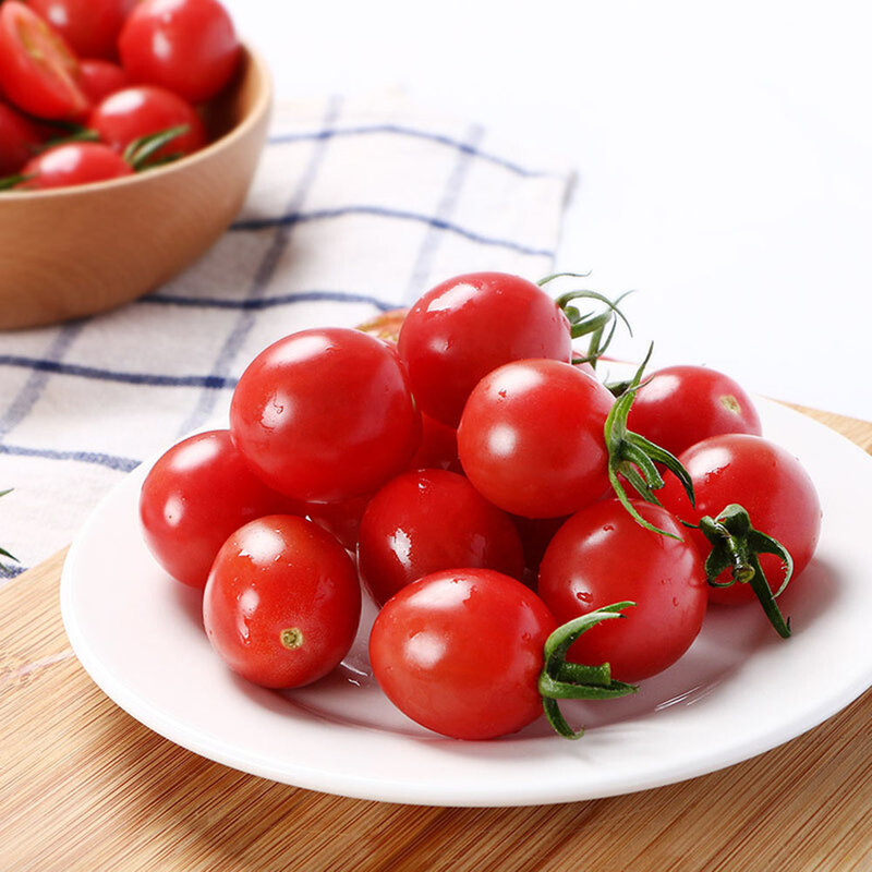 杞农云商 小红柿子约5斤装 千禧圣女果(5斤)
