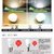 飞利浦led灯泡E27暖白2.5WLED球泡节能照明光源lamp单灯(白 2.5W四只装E27)第3张高清大图