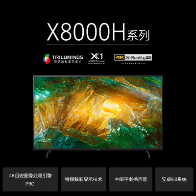 索尼(SONY) KD-65X8000H 65英寸 4K超高清HDR 安卓9.0系统 智能网络液晶平板电视(黑色 65英寸)