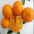 深山农特 纽贺尔脐橙 纽贺尔非17.5度脆甜橙 （坏果包赔）(大果65-80)(大果)(大果)第2张高清大图