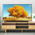 夏普（SHARP）LCD-70SU570A 70英寸广色域 4K超高清人工智能wifi液晶平板电视机第2张高清大图