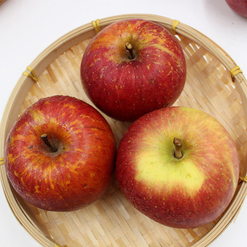 四川大凉山盐源糖心苹果丑苹果5斤装7080mm口感香脆味道鲜美老少皆宜