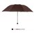 雨伞 折叠超轻小清新伞 创意10骨三折雨伞 手动轻便伞(咖啡色)第2张高清大图