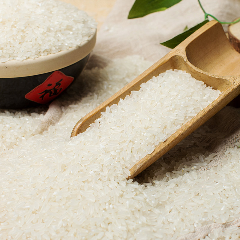 谷稻禾田 长粒香500g 正宗东北大米 买一赠一 共2斤 包邮