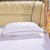 晶丽莱 磨毛压花枕头可水洗单人枕头枕芯 单只装(白色 48*74cm)第2张高清大图