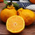 四川正宗不知火丑橘当季新鲜水果时令鲜果(特大果85mm)第6张高清大图