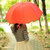 普润 遇水变花伞晴雨伞遮阳伞防晒伞三折折叠彩虹伞(红色)第4张高清大图