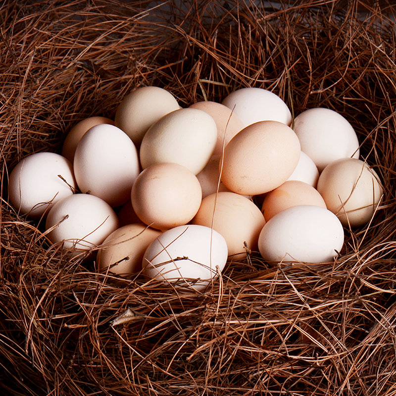 农臣本牧农家鲜鸡蛋现捡现发玉米大豆谷物喂养土鸡蛋30枚装