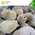 大马榴莲星球 新鲜猫山王 中果3-4斤带壳整果 正宗进口马来西亚榴莲D197液氮冷冻保鲜整个树熟水果顺丰包邮(中果3-4斤/颗（保4房，双人分享）)第3张高清大图