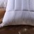 (国美自营)维众家纺单面荞麦枕头第3张高清大图