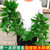 仿真藤条绿萝叶装饰假树叶绿藤藤蔓塑料暖气水管道遮挡空调缠绕花(99片白点仙芋藤条一包（5条）)第3张高清大图