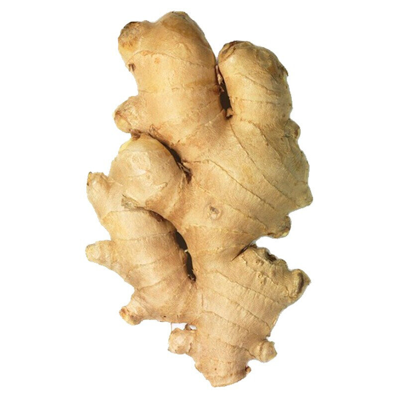 生姜新鲜山东沂蒙优质黄姜驱寒大块老姜母干姜月子姜净重约10斤装