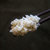 二十六厘米 稻花香2号 新鲜胚芽米2.5kg(白色)第4张高清大图