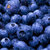 产地现摘 新鲜蓝莓鲜果现摘当季新鲜蓝莓宝宝辅食孕妇水果 现摘蓝莓 现摘现发第3张高清大图