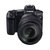 佳能（Canon）EOS R 全画幅专业微单、单镜头套机（RF24-105mm F4 L IS USM 镜头）EOSR第2张高清大图