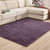 现代简约风格丝毛地毯 大尺寸客厅茶几地毯卧室(丝毛浅紫色 40cmx60cm)第2张高清大图