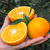 爱媛38号果冻橙 8斤中大果 新鲜当季水果整箱 可以吸着吃的果冻橙  现摘现发(8斤中果65-75mm)第2张高清大图