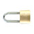 彩标 长梁挂锁 CB-TL35 通开 十字锁 铜(35mm*90mm（单位：个）)第2张高清大图