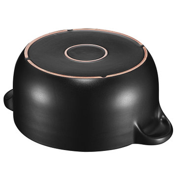 爱仕达（ASD） 2.5L陶瓷煲砂锅 大容量明火专用 炖锅汤锅养生煲 RXC25B1Q