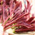 【顺丰空运】四川大竹头茬红油香椿芽新鲜蔬菜500g(500g)第6张高清大图