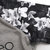 阿迪达斯女装2016春新款NEO系列印花针织运动休闲短袖T恤AP7441 AP7442(AP7442 XL)第3张高清大图