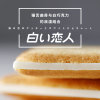 白色恋人饼干日本北海道进口27枚送女友零食礼物白巧克力夹心饼干