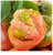 正宗丹东铁皮柿子  草莓西红柿盘锦碱脆柿子新鲜水果番茄(2.5kg(5斤一箱）)第2张高清大图