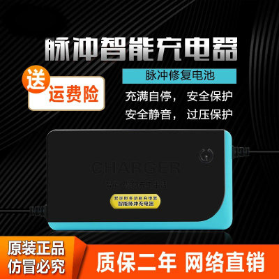 电动车充电器48V12AH 48V20AH60V72V80V