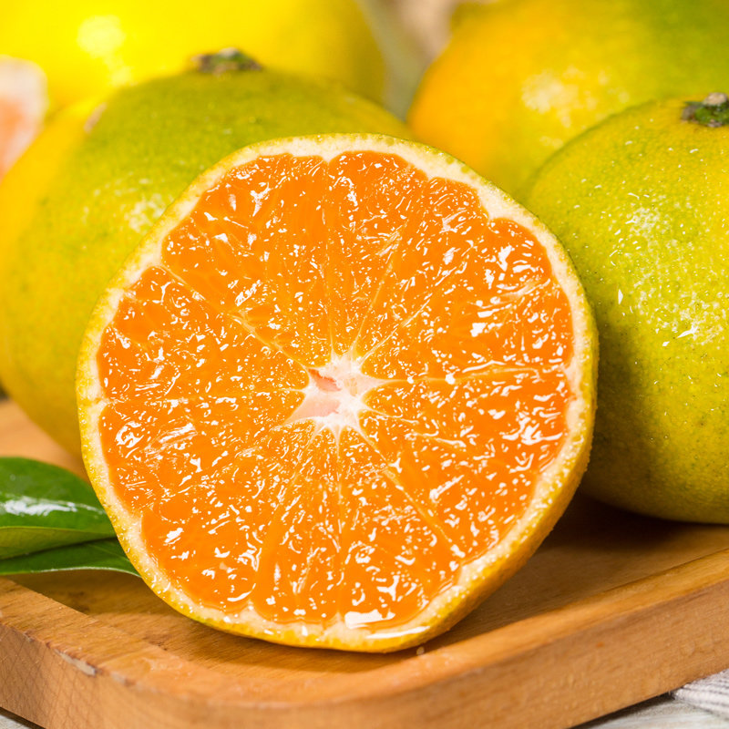 宜昌蜜桔黄皮蜜桔酸甜橘子高山蜜桔现摘现发薄皮酸甜可口9斤小果超高