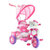 HelloKitty儿童卡通三轮车凯蒂猫手推车脚踏车伞车(粉色 凯蒂猫免充气香蕉轮)第3张高清大图