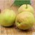 新疆库尔勒香梨5斤梨子新鲜当季水果批发包邮(库尔勒香梨25-30个5斤)第2张高清大图