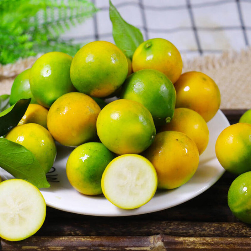 广西融安脆皮金桔250g500g装当季鲜果小橘子柑橘250g单果815g