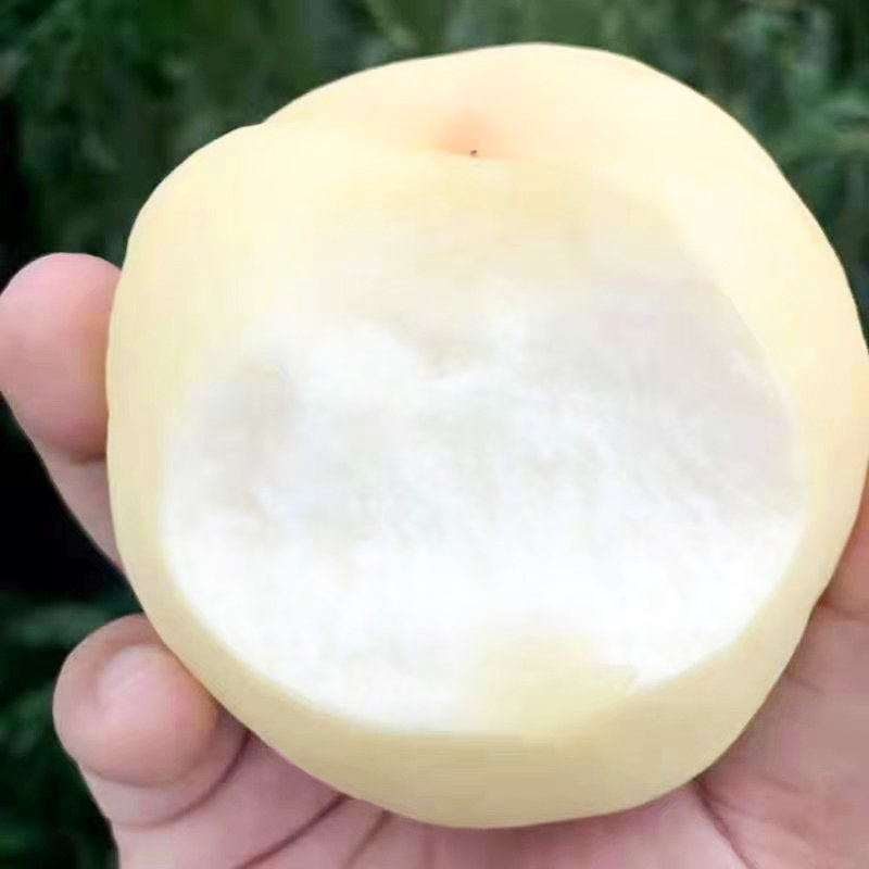 5斤装 新鲜白心桃子水果(奶油白桃 3斤装)