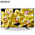索尼(SONY) KD-75X8000H 75英寸 4K超高清HDR 安卓9.0系统 智能网络液晶平板电视第4张高清大图