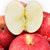 洛川苹果精品礼盒装 12枚单果80-90mm 冰糖心苹果 新鲜水果(精品礼盒装12个)第3张高清大图