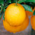 重庆奉节脐橙 应季橙子 3斤 5斤 8斤 产地直发 新鲜水果(大果75-80mm)第3张高清大图