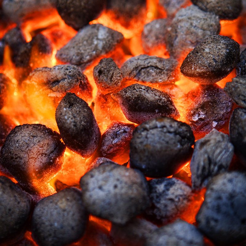 烧烤世家 烧烤木炭 烧烤炉户外木炭烧烤工具机制炭 果木炭烧烤碳竹炭