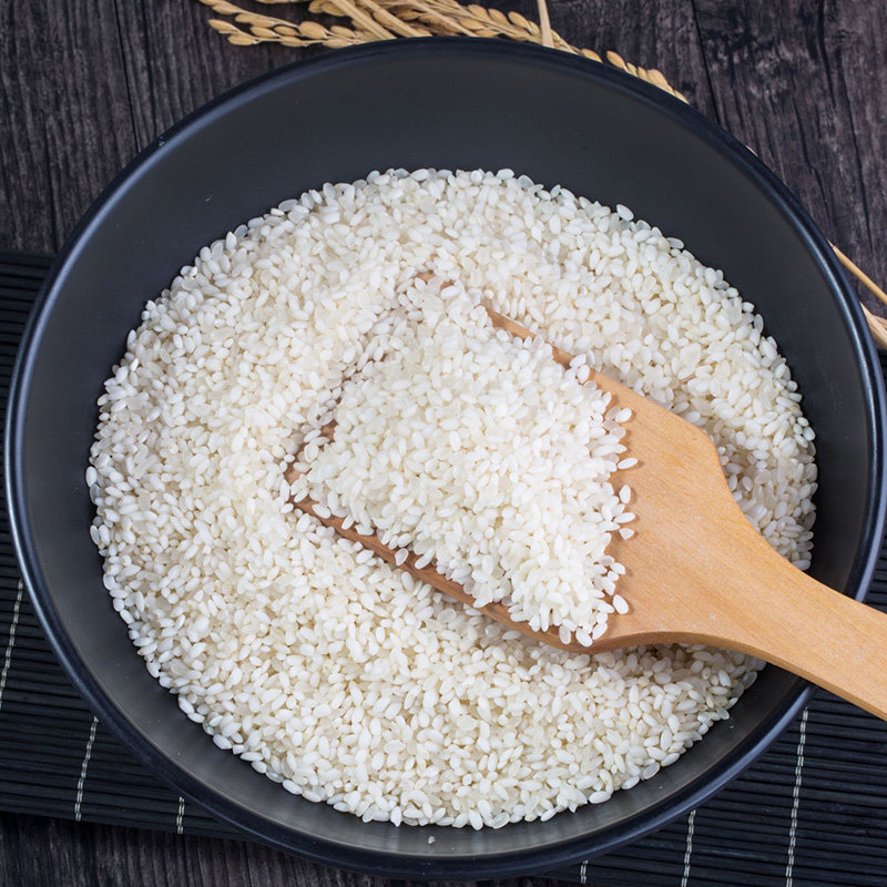 稻宝昌 慢生长新东北大米雪花米现磨10斤大米真空装