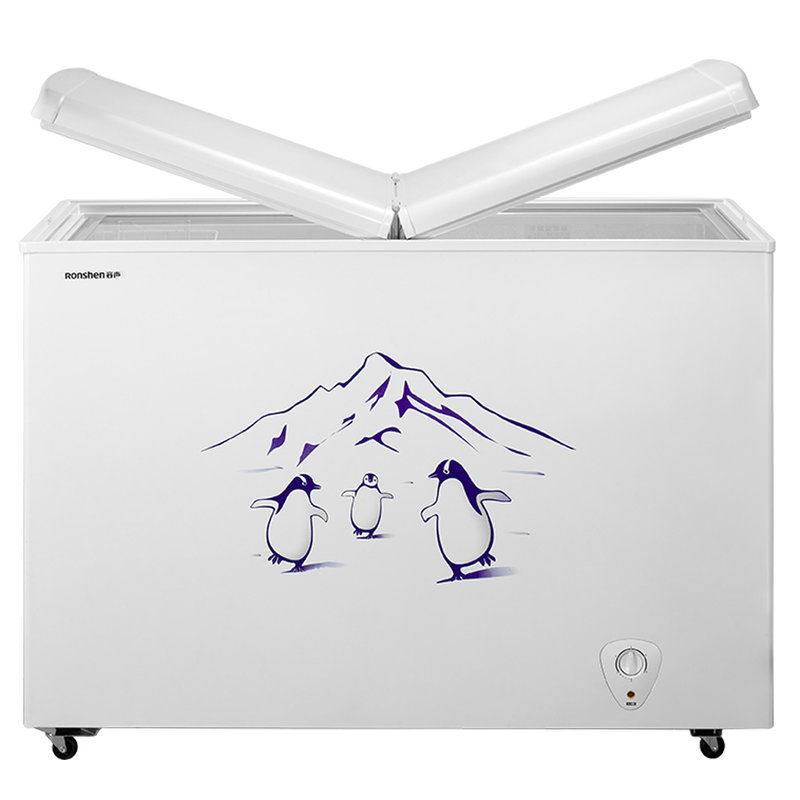 容声ronshenbcd273k273立升卧式冰柜时尚外观白色