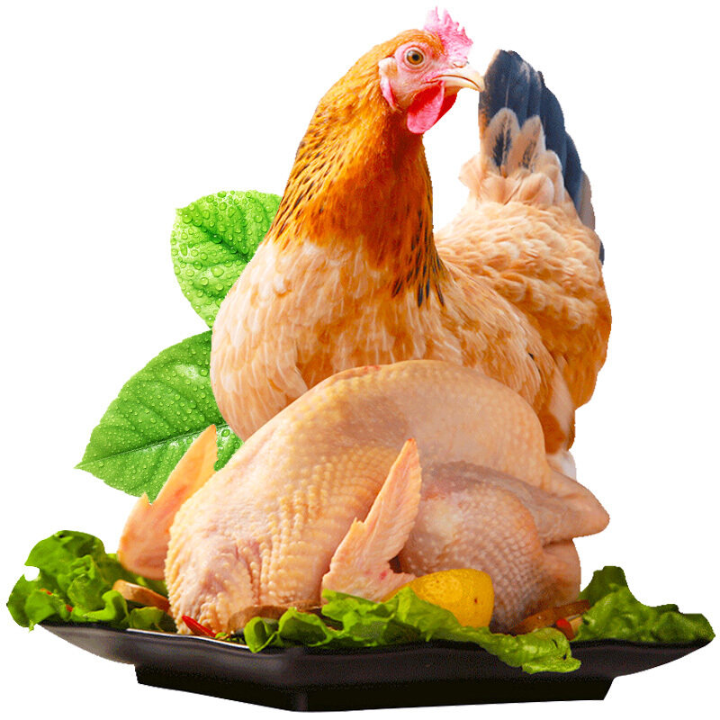 农家自养土鸡大公鸡新鲜鸡肉深度净膛老公鸡笨鸡溜达鸡大公鸡42斤4503