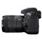 佳能7D Mark II（18-135）单反相机第5张高清大图