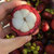 刘陶鲜果  泰国山竹5斤（25-35个果子）新鲜水果第4张高清大图
