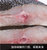 海捕多宝鱼4条新鲜鲜活速冻海鲜4-4.8斤水产比目鱼胶东鲽鱼大菱鲆鸦片鱼包邮(鲜冻多宝鱼1-1.2斤*4条组合)第4张高清大图